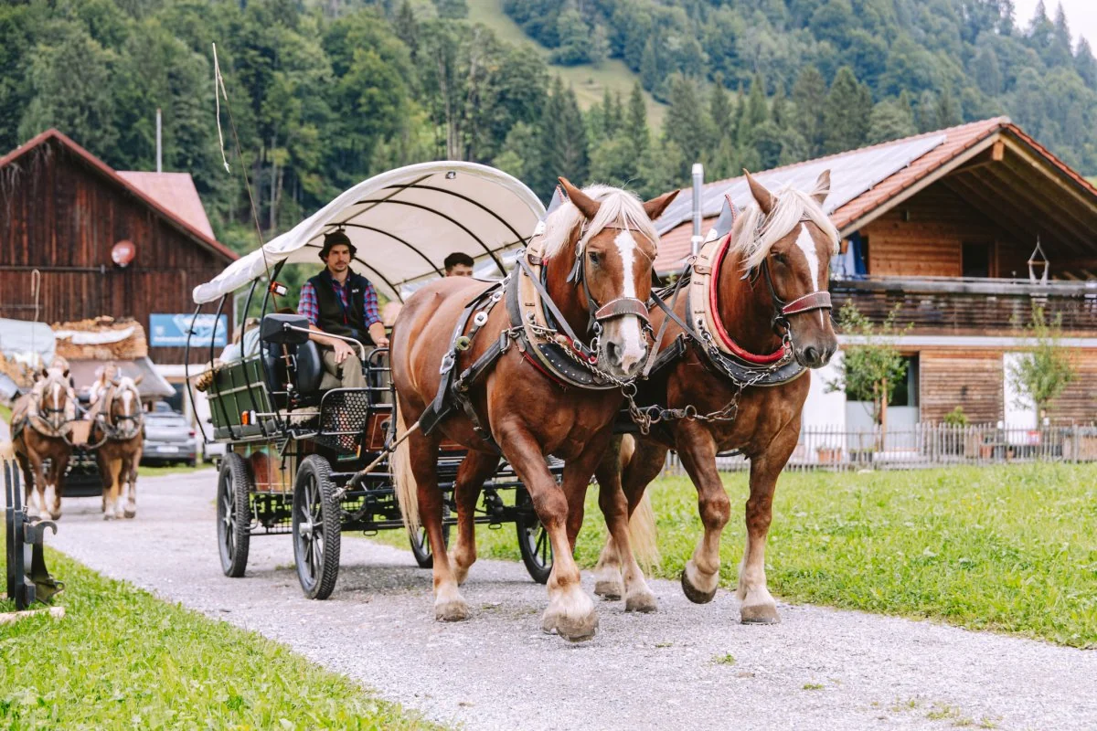 Pferdekutsche von Oberstdorf Dornach Kutschfahrt