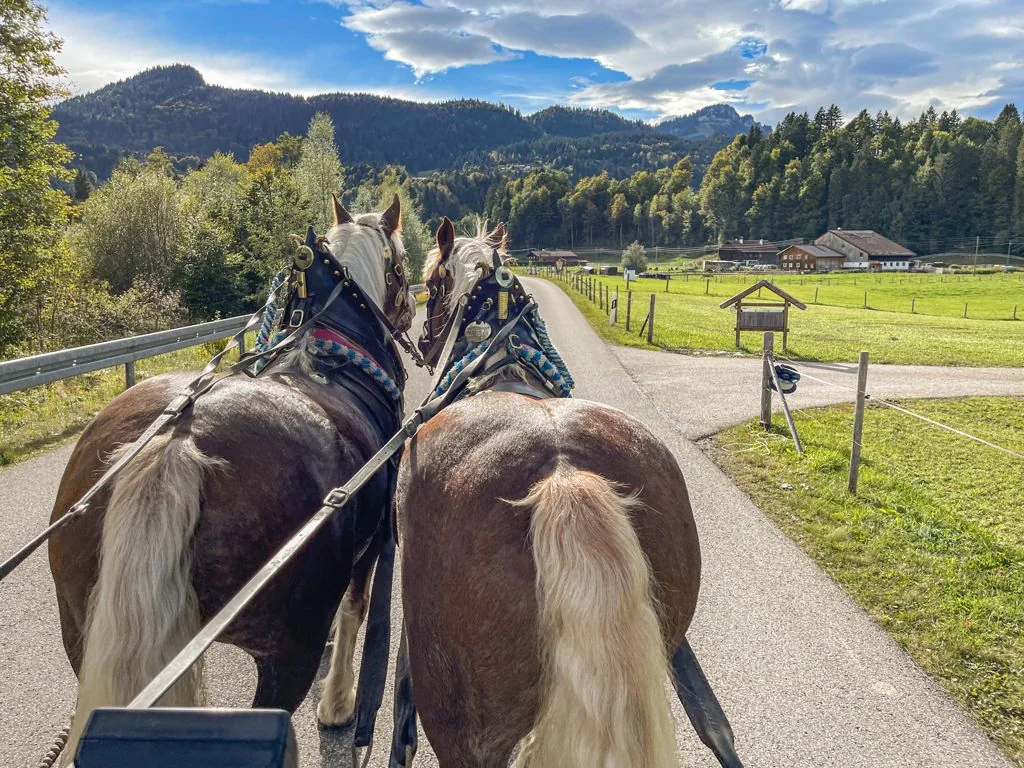 BERGSPORT JA Erlebnis in der Oberstdorfer Bergwelt